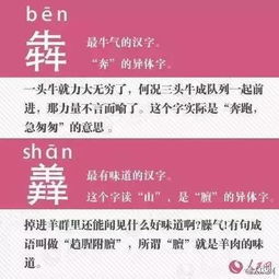 二四六天天开奖免费资料文字大全|正确解答落实_forest最新版.4.377