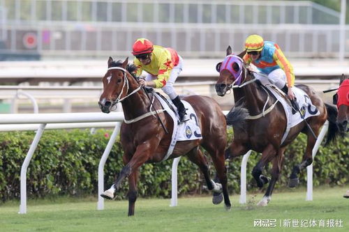 香港特马王资料免费公开|诠释解析落实_虚拟款.0.388