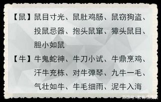 黄大仙正确免费资料|深入分析科技相关成语的内涵_RX版.0.442
