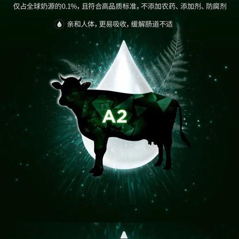 澳港宝典免费资料下载|综合分析解释落实_终点版.5.888