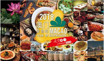 澳门一码精准必中大公开联系方式|探寻城市里的美食秘密_户外版.3.690