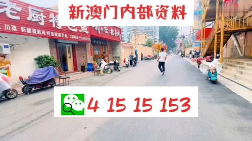 2024新澳天天开彩正版资料|快速解答解释落实_旗舰版1.908