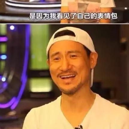 澳门正版精准四不像凤凰网|权威数据解释落实_竞速版.1.646