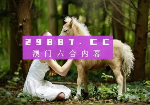 4949澳门精准大全凤凰网|探寻城市里的美食秘密_至尊版.2.389