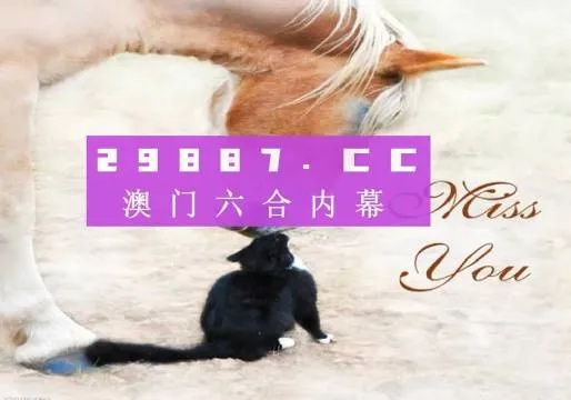 4949澳门精准大全凤凰网|探寻城市里的美食秘密_至尊版.2.389