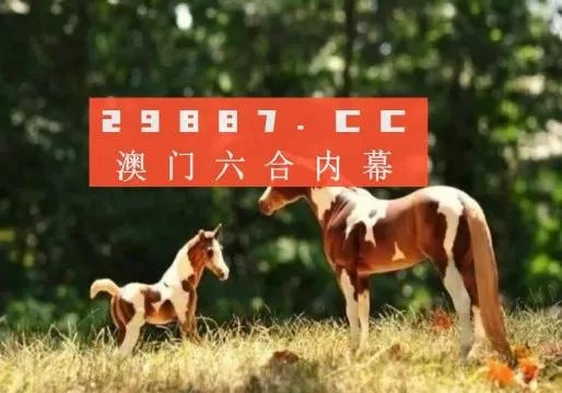 澳门精准正版四不像|最新解答解释落实_先锋版IP.0.921