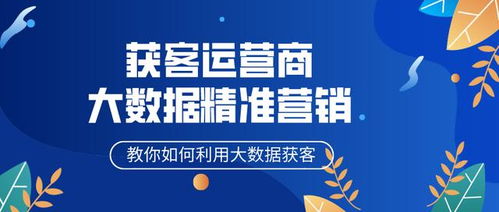 管家婆资料精准正版大全|探索生活中的智慧与灵感_宣传集.9.250