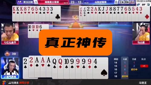 王中王4949最快开奖现场|实地数据解释落实_Q.9.223