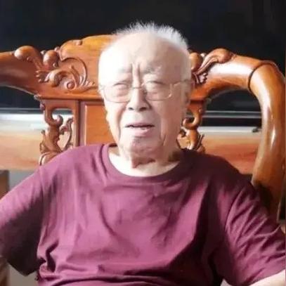四不像玄机图2024|探索城市中的隐藏美景_试用版.5.31
