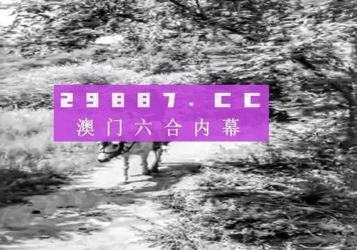 494949澳门今晚开奖什么|真实解答解释落实_更换集.4.166