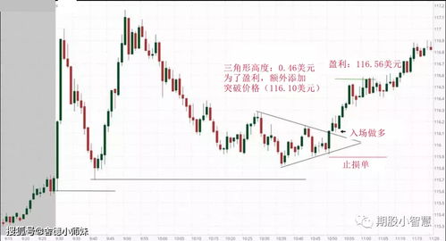 天下彩免费资料4949|掌握趋势轻松应对市场变化_连续集.7.555
